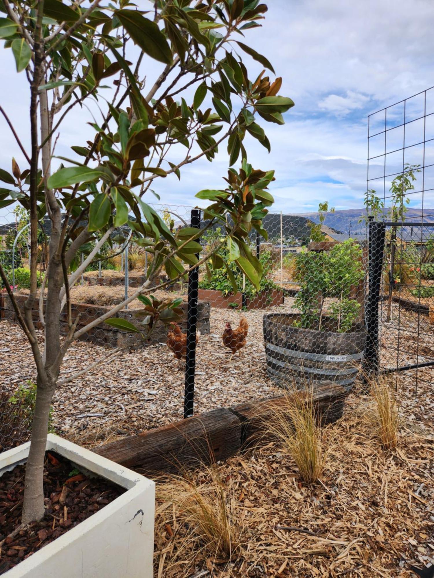 Escape To Riverslea Wanaka Exterior photo
